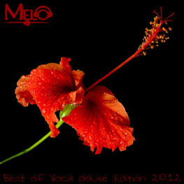 Best Of Vocal Deluxe 2012